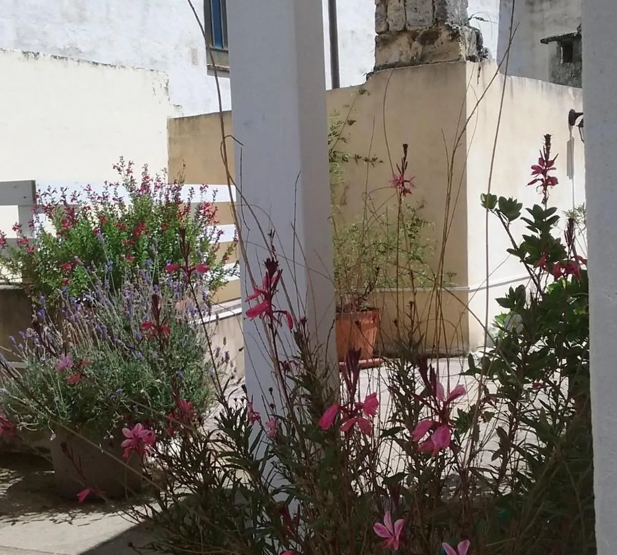 Barocco Dream-Nuova Gestione Apartment Lecce